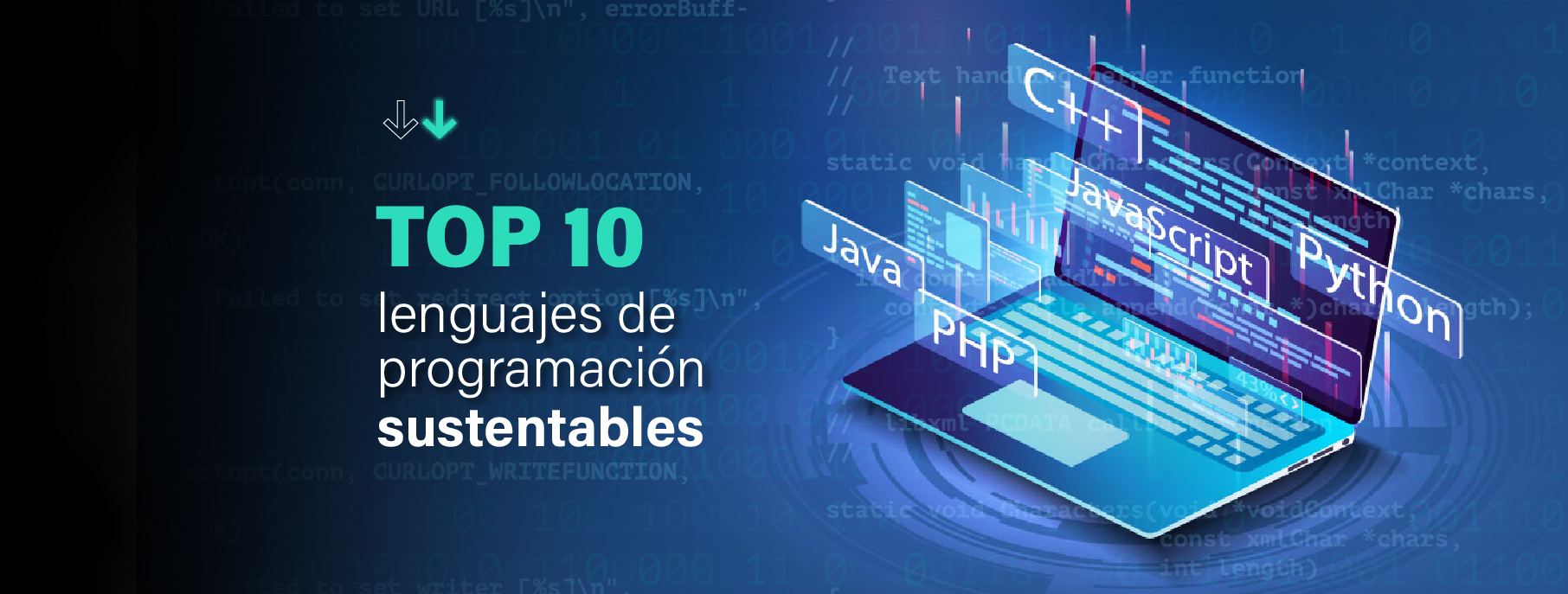 Los 10 lenguajes de programación más sustentables-IT Patagonia