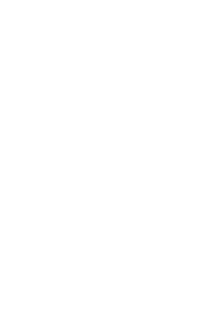 Empresa B